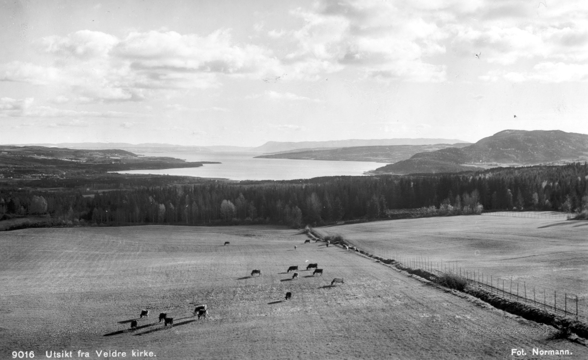 Utsikt fra Veldre kirke mot Brumunddal, Mjøsa, mjøslandskap. 
Postkort 9016. Carl Normann