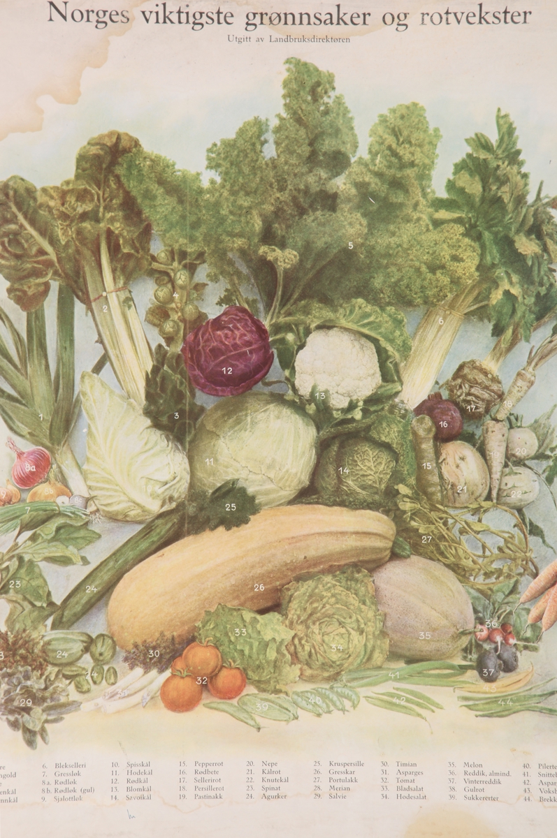 Grønnsaker og rotvekster