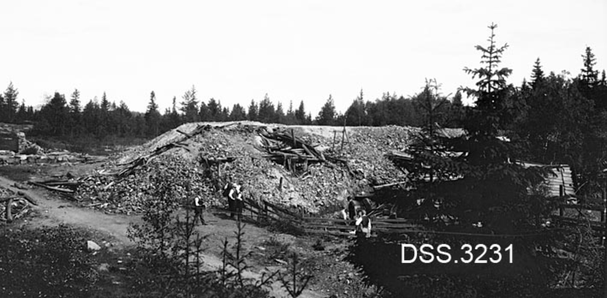 Parti fra de nedlagte gullgruvene på Eidsvoll.  Tipp (antakelig skrotet malm) med nedraste bygningskonstruksjoner.  Gran- og bjørkeskog omkring kulturminnet. 