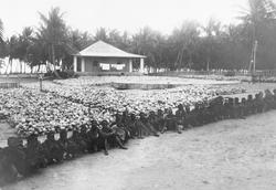Mosambik 1914. Unge plantasjearbeidere og kokosnøtter samlet