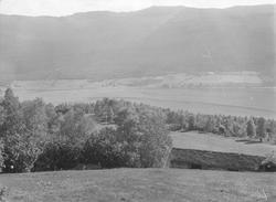 Eidsvågen, gården Solbjørg.