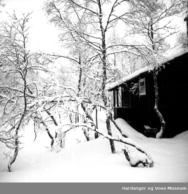 hytte, vinterbilete