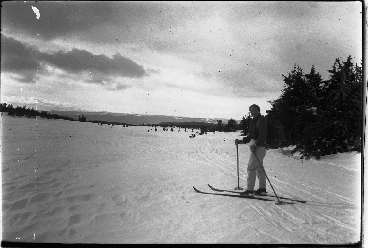 Vinterlandskap. Ukjent mann på ski. 