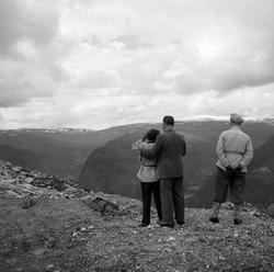 HAMAR JERNSTØPERI OG MEK. VERKSTED, HAM-JERN, TUR TIL ÅRDAL,