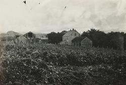 Sorenskrivergården i Borgund.