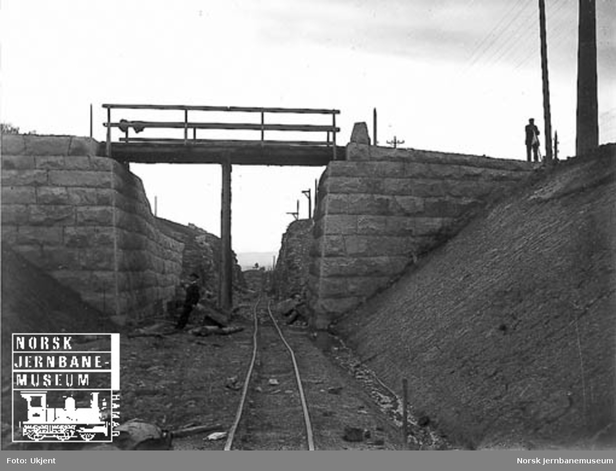 Undergang for godssporet ved Nygård