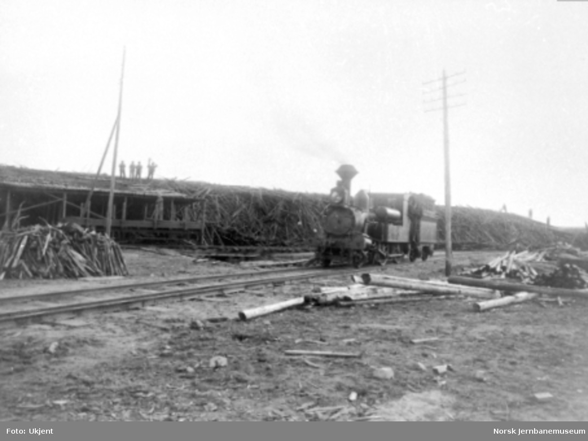 Damplokomotiv type IX med vedkarmer på tenderen foran vedlageret på Rena Kartonfabrik under 1. verdenskrig
