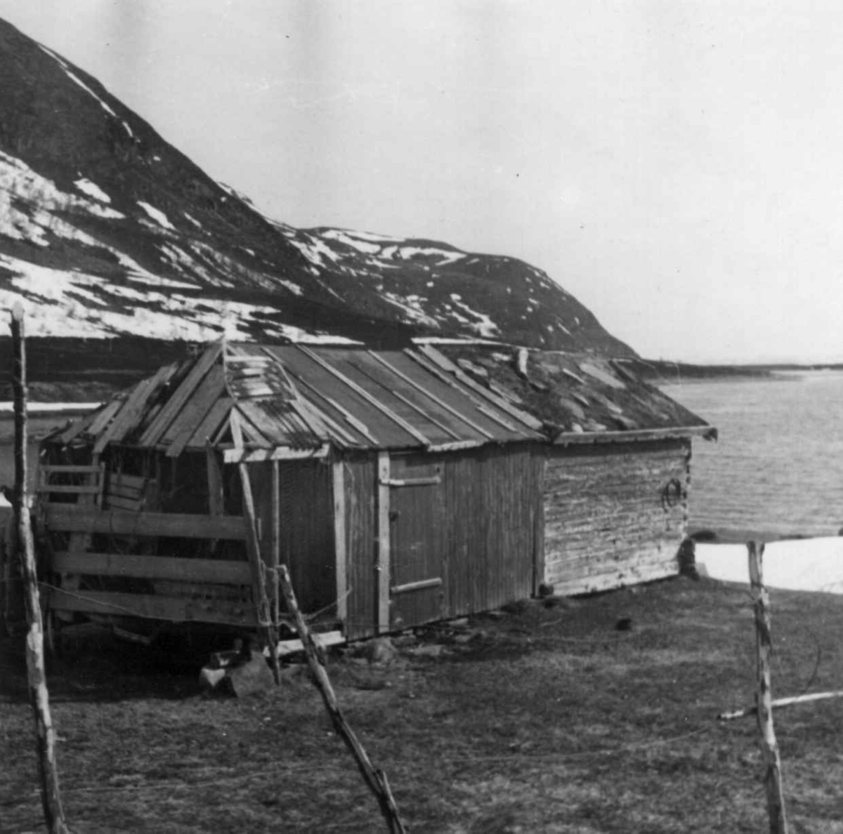 Stabbur med tilbygget redskapsskur.  Nordmannsvik 1952. 
