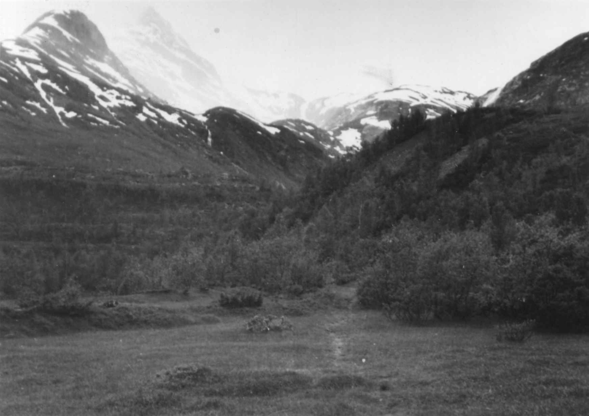 Oversiktsbilde over Stordalen og Ullsfjorden, 1948.