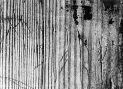 Bygningsdetalj med runer i Gol Stavkirke. Kirken ble gjenrei