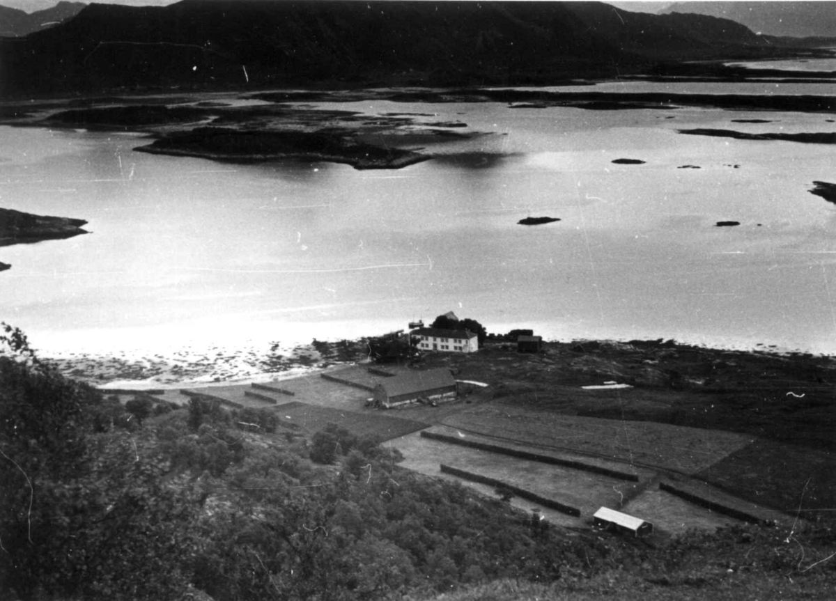 Lovoy
Fra dr. Eivind S. Engelstads storgårdsundersøkelser 1954.