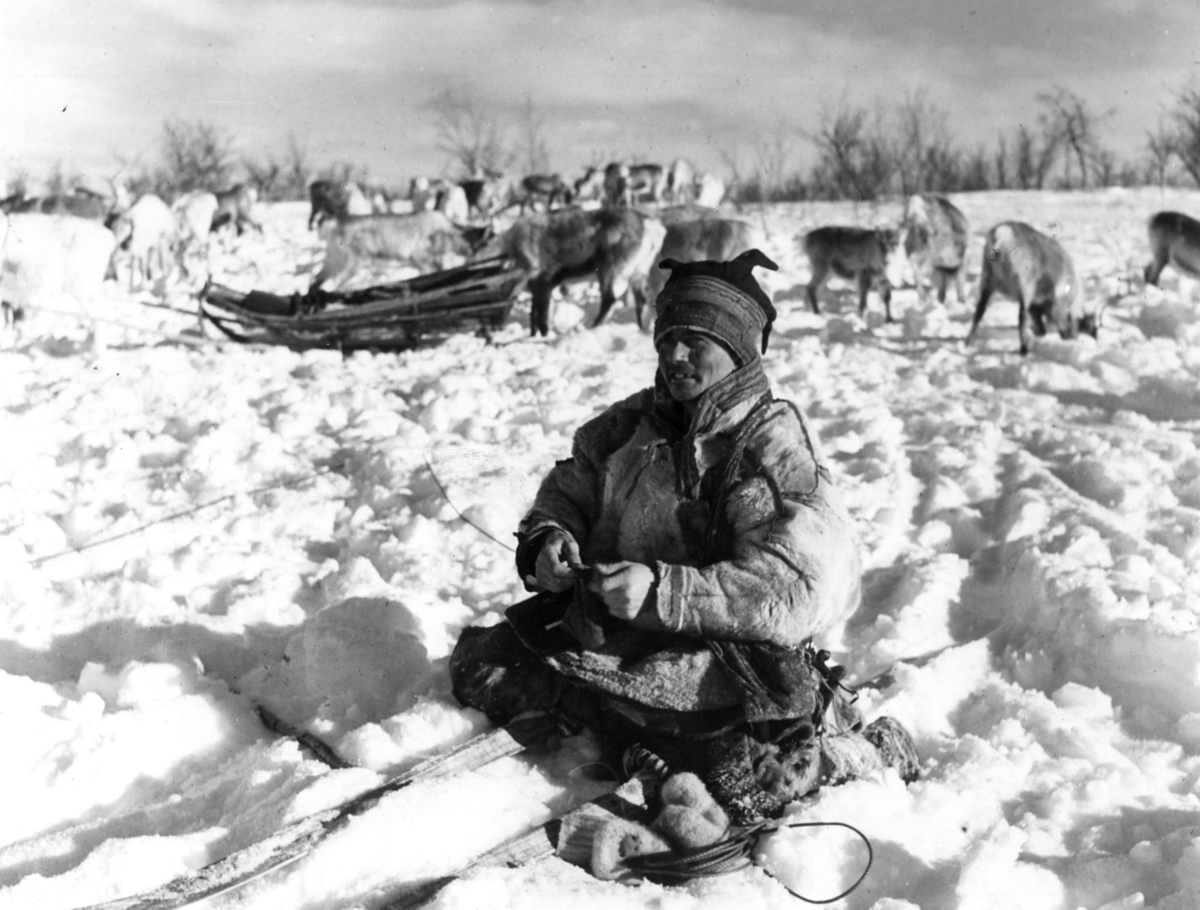 Reingjeter sitter i snøen, en reinsdyrflokk og en slede i bakgrunnen. Kautokeino antagelig  i 1930-årene.