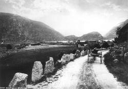 Nesflaten, Suldal, Rogaland. Veiparti med hestekjøretøy ved 