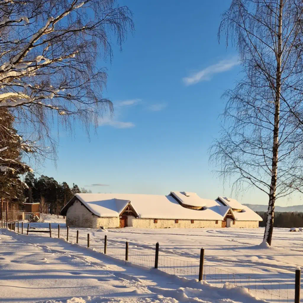 Vinterbilde av langhuset. Sterk sol, snø og bjørketrær uten blader med den fantastisk fine bygningen 