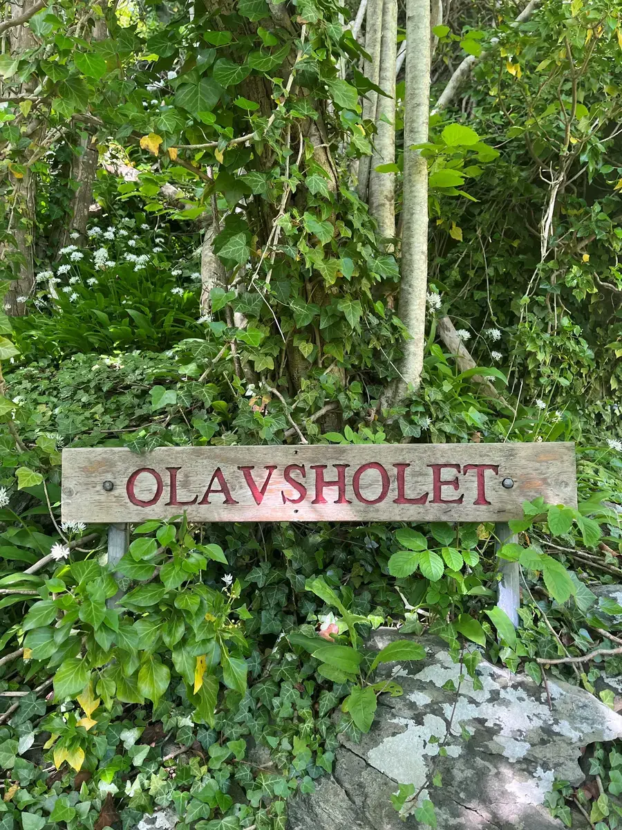 Olavsholet (Moster)